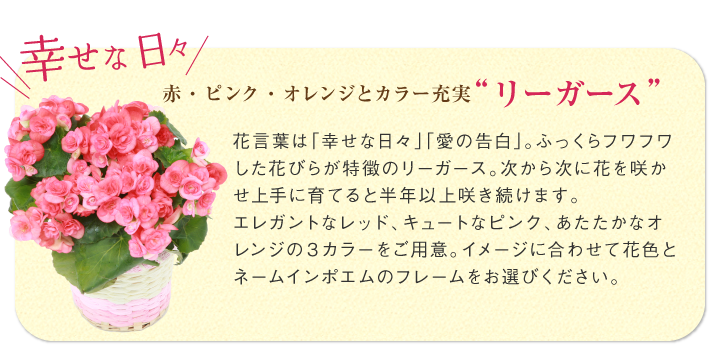 赤・ピンク・オレンジとカラー充実“リーガース”