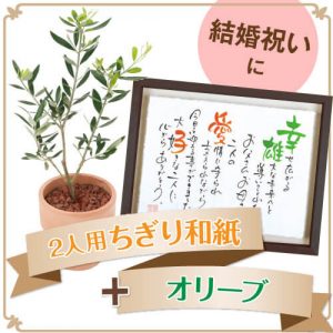 flwrst06-Br
