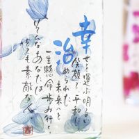 MHA-001-Bl